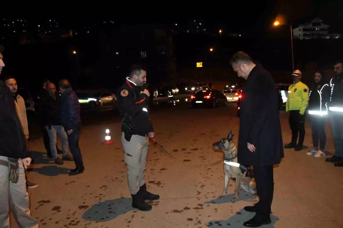 Şırnak’ta 700 Polis Güçlü Narkotik Operasyonu: Kaçakçılık Ağları Sarsıldı