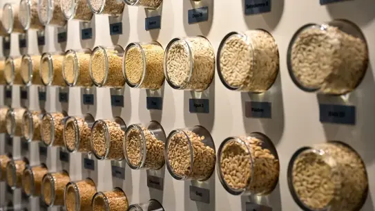 BATEM, Yerli Sebze Tohumlarıyla İhracatı Güçlendiriyor