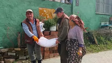 Aydın'ın Pamukçular Köyünde Yılın İlk Leylek Görüldü: EKODOSD'den Sürpriz Hediye