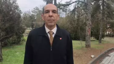 Kuşların beslenme anı