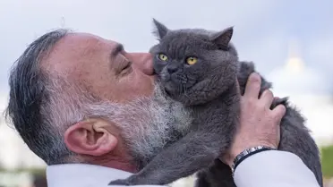 İstanbul’un Sokaklarını Keşfeden Seyyah Kediler: Reis ve Minik Kızı Pera’nın Maceraları