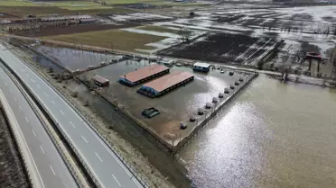 Sivas'ta Kangal Çiftliği Sel Sularına Kapıldı, Köpekler Güvenli Bölgeye Taşındı