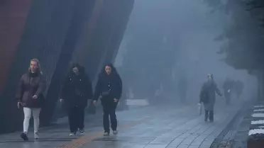 Sisli yol manzarası