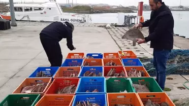 Karasu’da Kaçak Kalkan Avcılığına 905 Bin Lira Ceza Kesildi