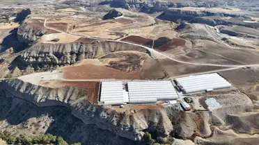 Adıyaman’da 24 Hektar Arazide Süs Bitkisi Üretimiyle 20 Kişiye Yeni İş Fırsatı