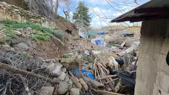 Hatay'da Şiddetli Yağışlar Ahırları Sarsıyor: Çiftçilerin Hayvanları Tehlikede
