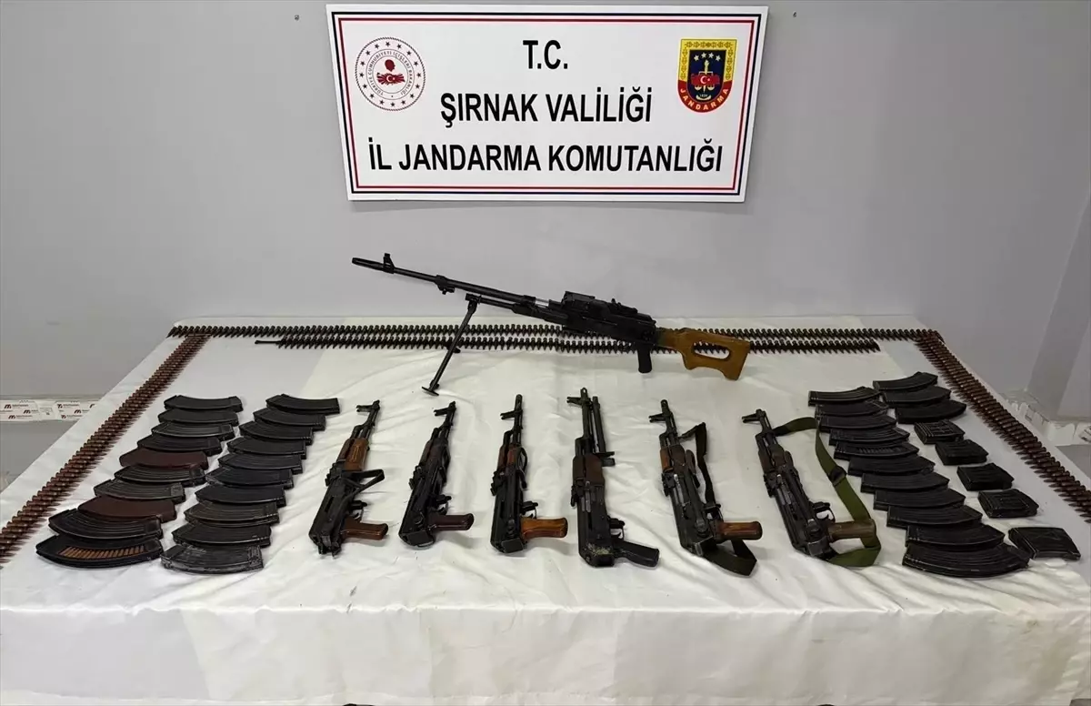 Şırnak'ta kaçakçılık operasyonu