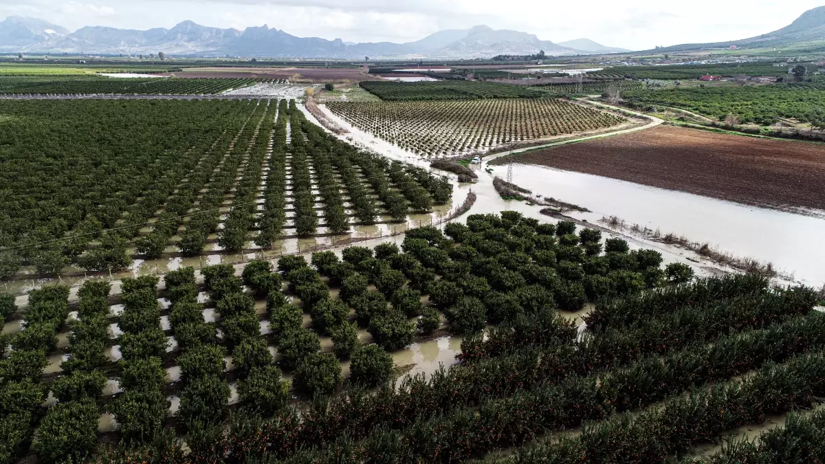 Adana’da Yağışların Ardından Tarım Arazileri Sular Altında Kaldı