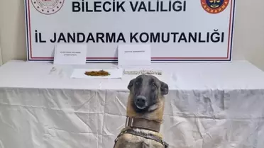 Bilecik'in Gölpazarı İlçesinde Uyuşturucu Operasyonu: 1 Şüpheli Gözaltında