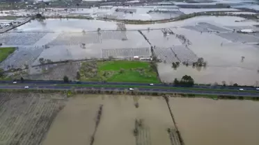 Manisa’da Gediz Nehri Taşkınları Tarım Alanlarını Su Altına Çekti