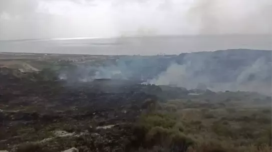 Samandağ’da Çıkan Yangın Orman Ekiplerinin Hızlı Müdahalesiyle Söndürüldü