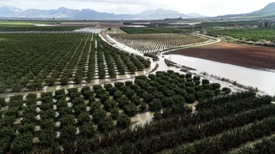 Su altında kalan tarım arazileri