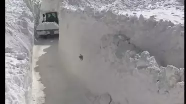 Van’ın Başkale İlçesinde Çığlar Yol Kapattı: Kurtarma Ekipleri Seferber Oldu
