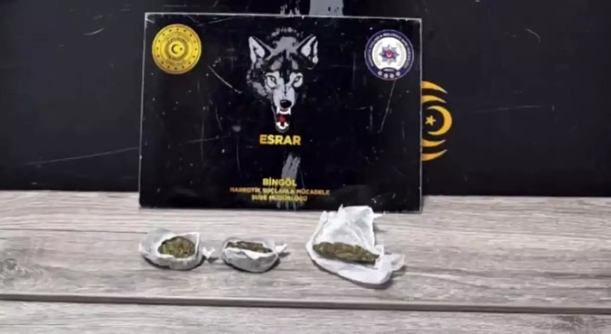 Bingöl'de Uyuşturucu Kaçakçılığına Darbe: Tek Şahıs Tutuklandı