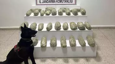 Van'ın Baskale İlçesinde 21,35 Kilo Skunk Madde Ele Geçirildi
