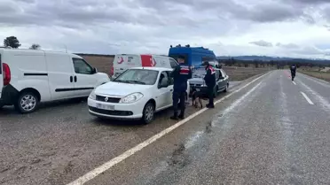 Uşak'ta Göçmen ve Araç Denetim Operasyonu 351 Kişi ve 114 Araçla Sınırlı Kaldı