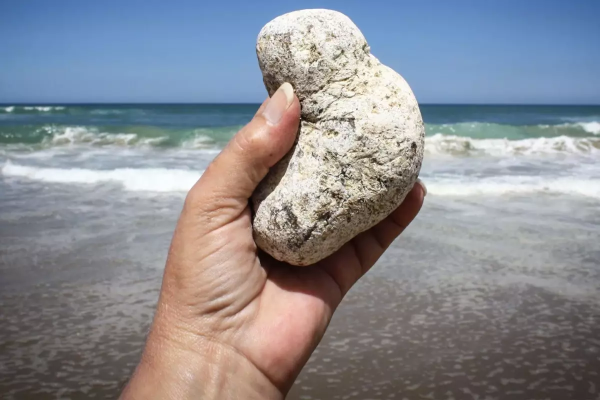 Sahilde Bulunan Gizli Hazine: Taşın Altında Milyarlar Saklı