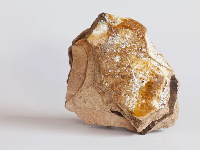 Kıyı şeridinde hazine keşfi