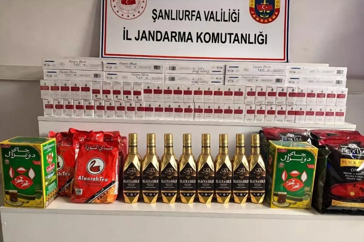 Viranşehir kaçakçılık operasyonu kapsamında güvenlik birimleri