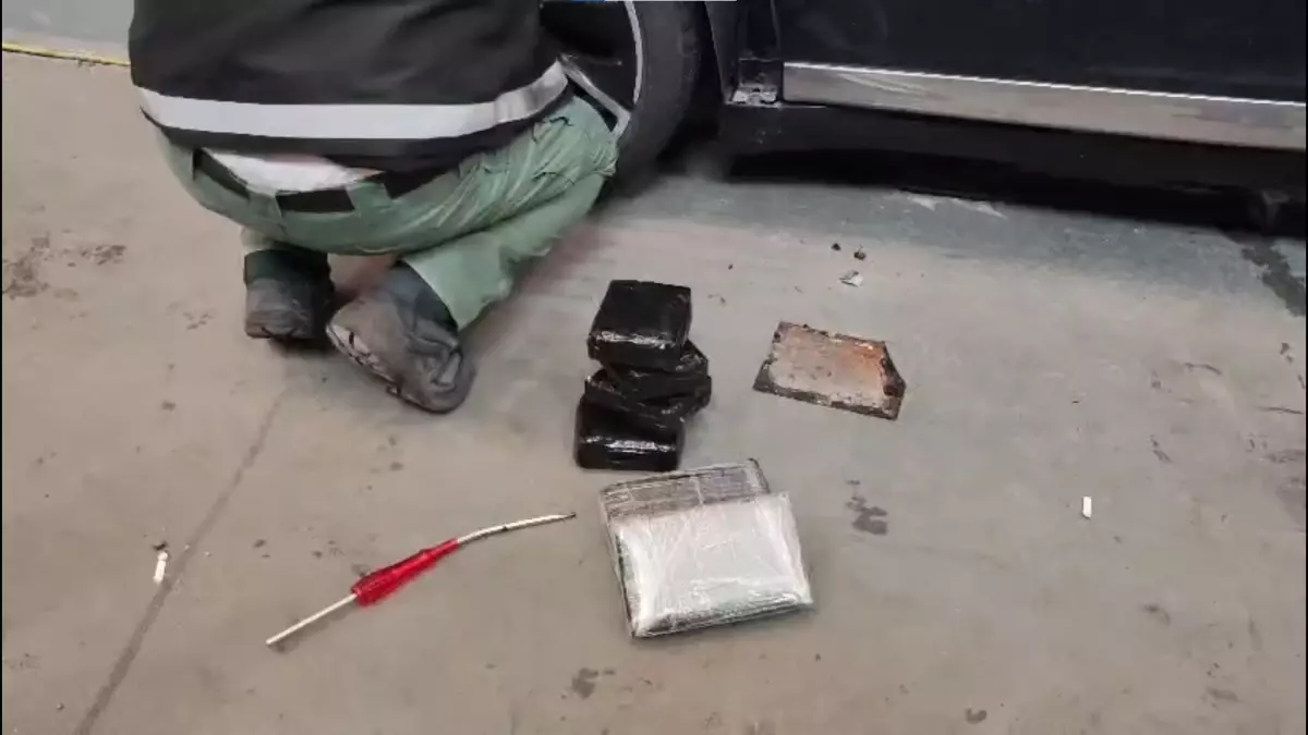 İpsala Sınır Kapısında 11 Kilo Kokain Ele Geçirildi: Sürücü Gözaltında