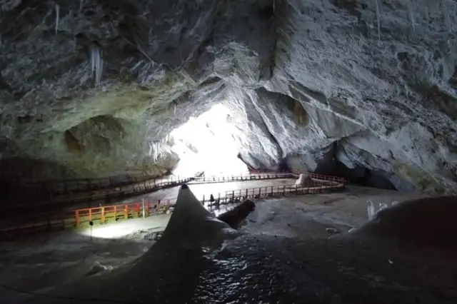 Laboratuvar ortamında bakterinin incelenmesi