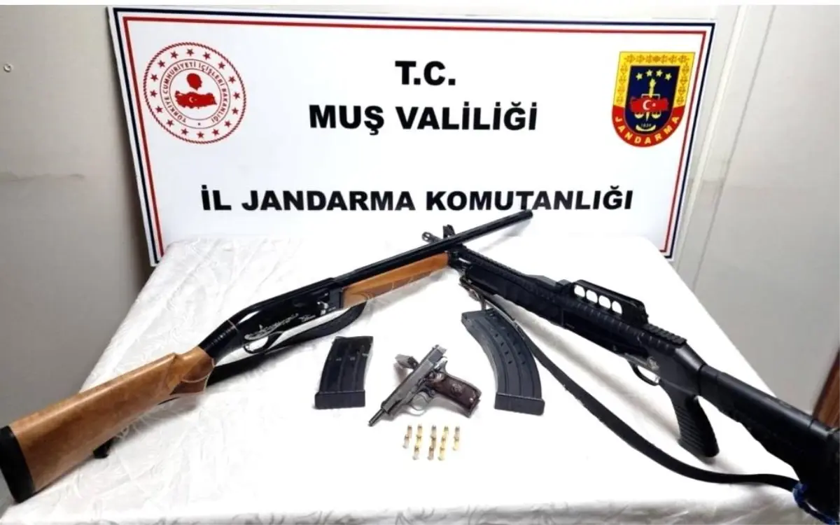 Varto'da düzenlenen silah operasyonu