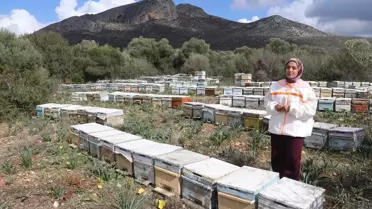 Genç Arıcı Latife Gül Kaplan'dan 470 Kova Bal Başarısı