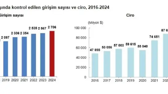 2024'te Yurt Dışındaki Türk Girişim Sayısı Rekor Kırdı