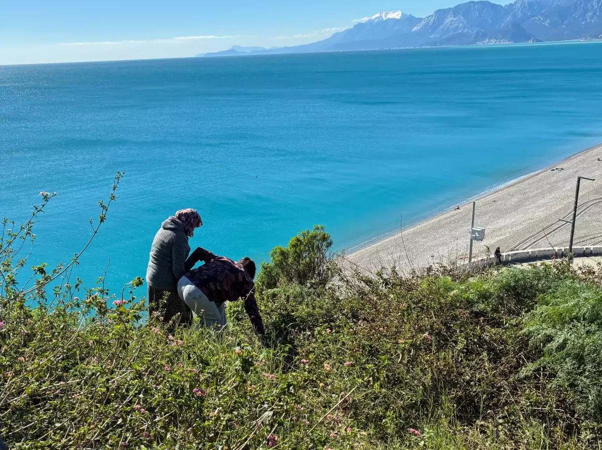 Falezlerde protesto eden anne