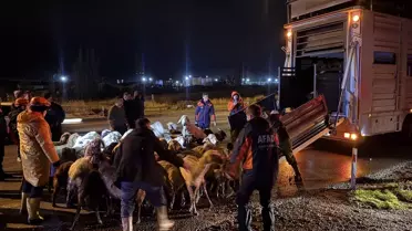 Kayseri Kocasinan’da Şiddetli Sağanak Sonrası 200 Hayvan Güvenli Bölgeye Tahliye Edildi