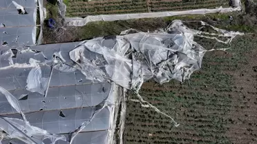 Mersin'in Akdeniz ve Tarsus İlçelerinde Şiddetli Rüzgar Seraları Zarar Verdi