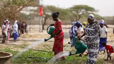 TİKA, Senegal'de Kadın Kooperatifine 3,5 Hektarlık Tarım Alanı Açtı