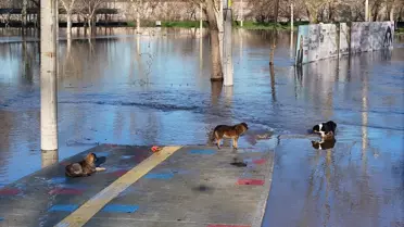 Edirne Nehirlerinde Su Seviyeleri Dengesiz: Tunca Düşerken Meriç Yükseliyor