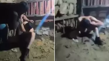 Mardin’de Ahırda Şiddet Olayı: Jandarma Harekete Geçti