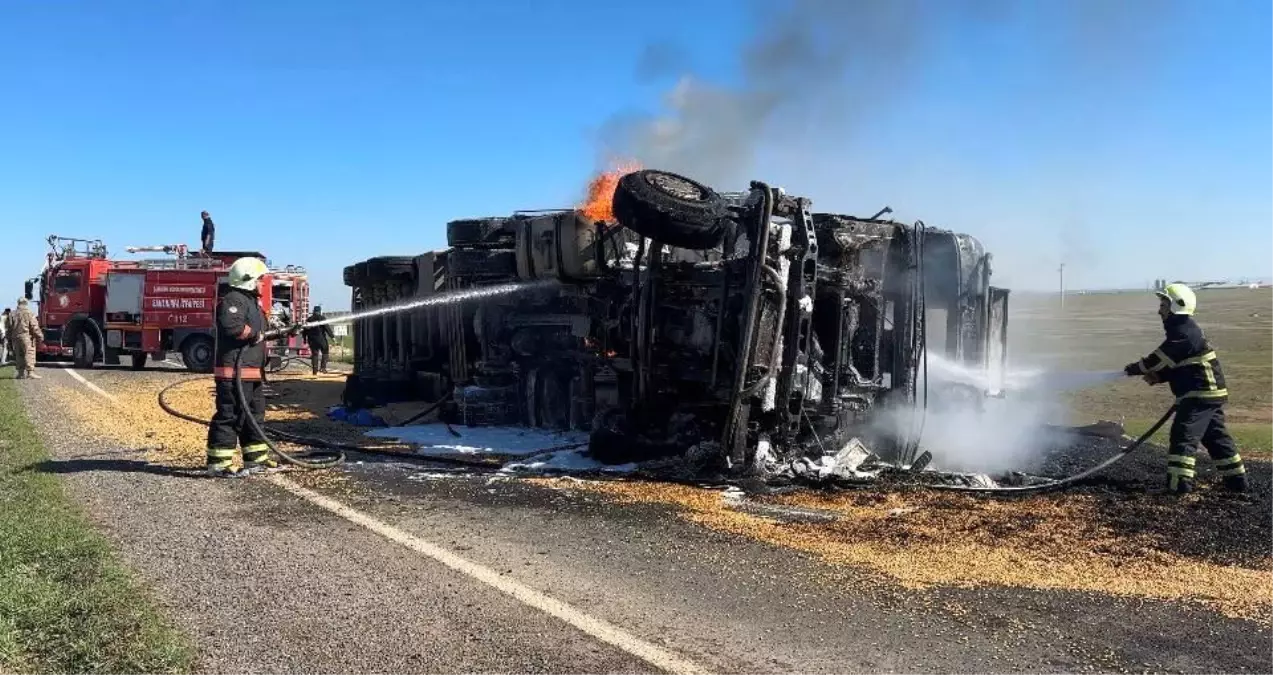 Şanlıurfa’da Mısır Yüklü Tır Devrildi, Sürücü Kriz Yaşadı