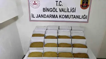 Jandarma ekipleri operasyon alanında