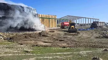 Yangın sonrası kalan mısır balyaları