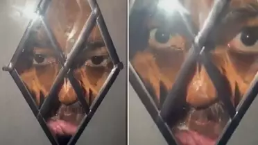 İngiltere'de Gece Vardiyasında Şok Görüntü: Kapıdaki Gözcü Kimdi?