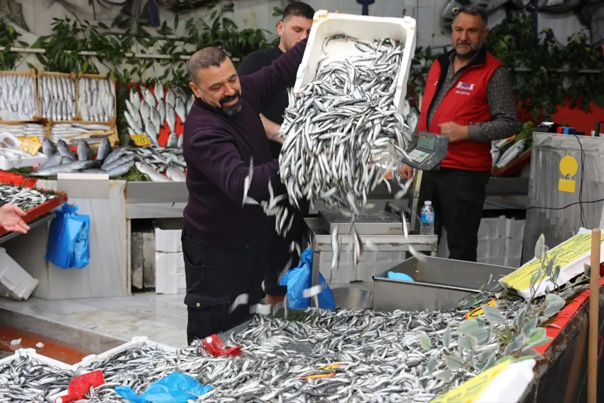 Edirne'de Hamsi Fiyatı 50 Liraya Geriledi: Tezgahlarda Kalabalık