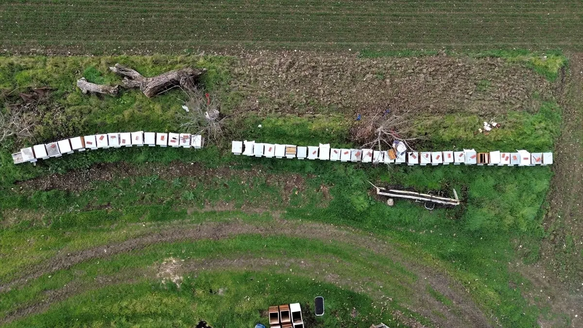 Kurşunlu Köyü arıcılık projesi