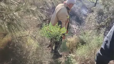 İtfaiye ekiplerinin yangını söndürme çalışması