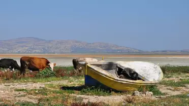 Marmara Gölü'nde Su Seviyesi Yeniden Yükseldi: Kısmi Doluluk Hedefe Yaklaşıyor