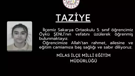 Hastanede tedaviye çalışılan Öykü Şenli