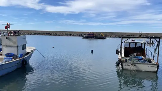 Zonguldak'ta balık avı sahası