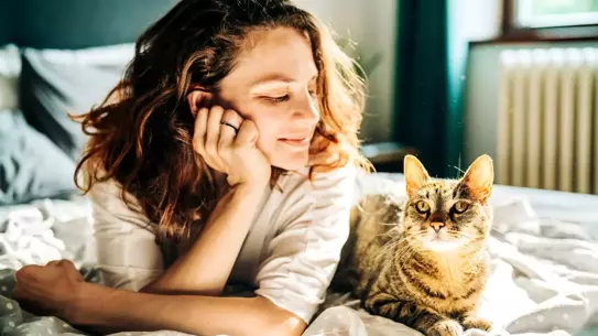 Kedilerde kanser genetik haritası görseli