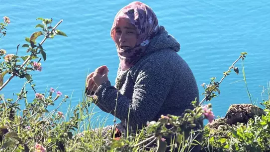 Bakanlık, Otizmli Çocuğun Şehir Değişikliği Taleplerini Durdurdu