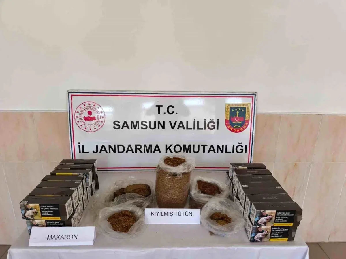 Samsun Alaçam'da Jandarma, Bandrolsüz Tütün Operasyonu ile 1 Şüpheliyi Gözaltına Aldı