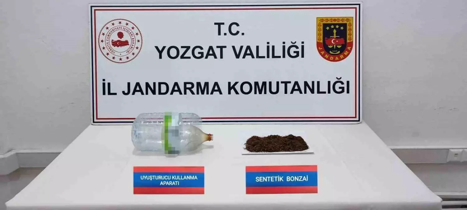 Yozgat'ta Jandarma Üzerinden Büyük Bonzai Operasyonu