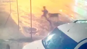 Kahta’da 10 Yaşındaki Çocuk Sahipsiz Köpek Saldırısına Maruz Kaldı