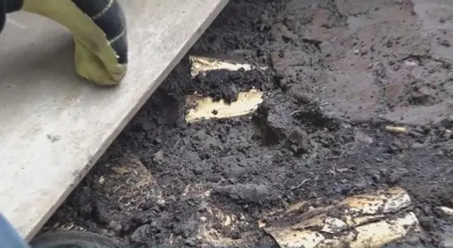 Altın takılar ve seramikler